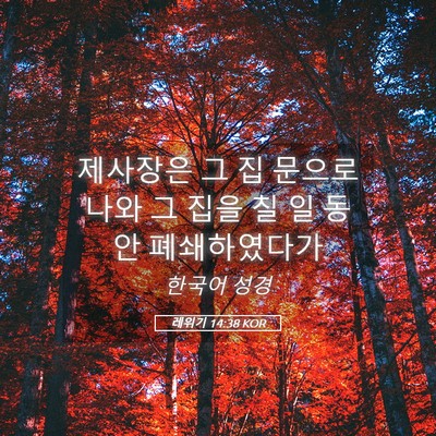 Picture 05 - 레위기 14:38 KOR - 제사장은 그 집 문으로 나와 그 집을 - Bible Verse Picture