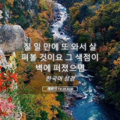 Picture 05 - 레위기 14:39 KOR - 칠 일 만에 또 와서 살펴볼 것이요 그 - Bible Verse Picture