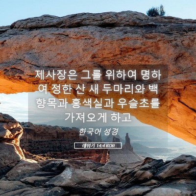 Picture 05 - 레위기 14:4 KOR - 제사장은 그를 위하여 명하여 정한 - Bible Verse Picture
