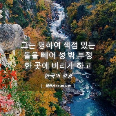 Picture 05 - 레위기 14:40 KOR - 그는 명하여 색점 있는 돌을 빼어 성 - Bible Verse Picture