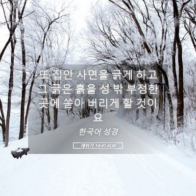 Picture 05 - 레위기 14:41 KOR - 또 집안 사면을 긁게 하고 그 긁은 - Bible Verse Picture