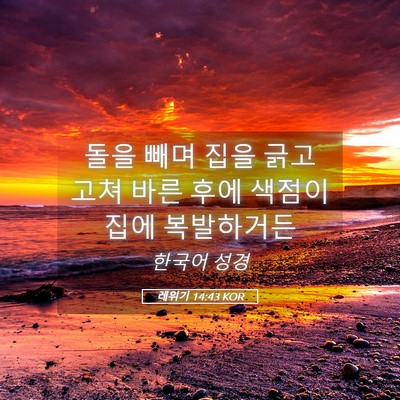 Picture 05 - 레위기 14:43 KOR - 돌을 빼며 집을 긁고 고쳐 바른 후에 - Bible Verse Picture