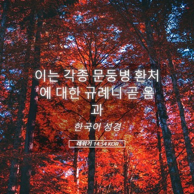 Picture 05 - 레위기 14:54 KOR - 이는 각종 문둥병 환처에 대한 - Bible Verse Picture