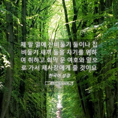 Picture 05 - 레위기 15:14 KOR - 제 팔 일에 산비둘기 둘이나 - Bible Verse Picture