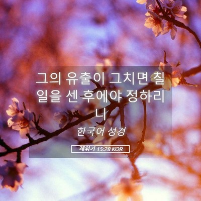 Picture 05 - 레위기 15:28 KOR - 그의 유출이 그치면 칠 일을 센 - Bible Verse Picture