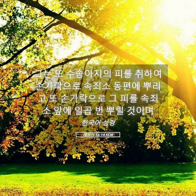 Picture 05 - 레위기 16:14 KOR - 그는 또 수송아지의 피를 취하여 - Bible Verse Picture