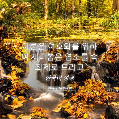 Picture 05 - 레위기 16:9 KOR - 아론은 여호와를 위하여 제비뽑은 - Bible Verse Picture