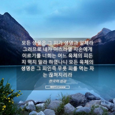 Picture 05 - 레위기 17:14 KOR - 모든 생물은 그 피가 생명과 일체라 - Bible Verse Picture