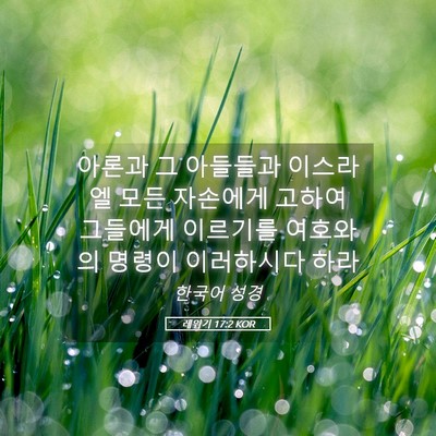 Picture 05 - 레위기 17:2 KOR - 아론과 그 아들들과 이스라엘 모든 - Bible Verse Picture