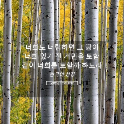 Picture 05 - 레위기 18:28 KOR - 너희도 더럽히면 그 땅이 너희 있기 - Bible Verse Picture