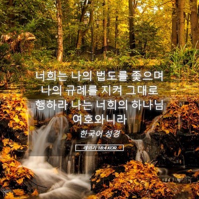 Picture 05 - 레위기 18:4 KOR - 너희는 나의 법도를 좇으며 나의 - Bible Verse Picture