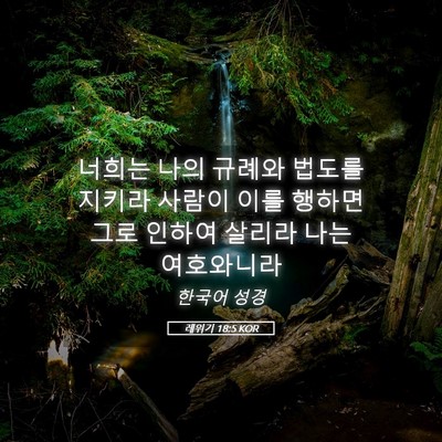 Picture 05 - 레위기 18:5 KOR - 너희는 나의 규례와 법도를 지키라 - Bible Verse Picture