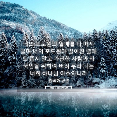 Picture 05 - 레위기 19:10 KOR - 너의 포도원의 열매를 다 따지 말며 - Bible Verse Picture
