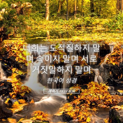 Picture 05 - 레위기 19:11 KOR - 너희는 도적질하지 말며 속이지 말며 - Bible Verse Picture
