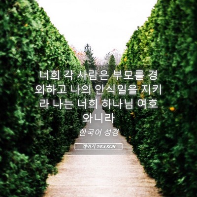 Picture 05 - 레위기 19:3 KOR - 너희 각 사람은 부모를 경외하고 - Bible Verse Picture