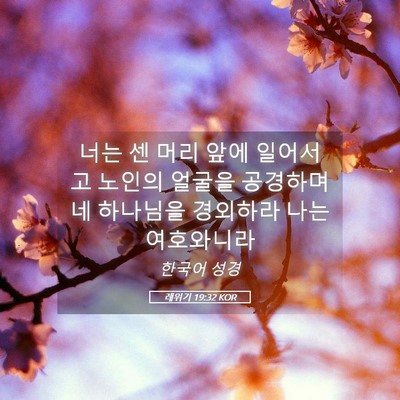 Picture 05 - 레위기 19:32 KOR - 너는 센 머리 앞에 일어서고 노인의 - Bible Verse Picture