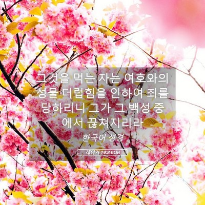 Picture 05 - 레위기 19:8 KOR - 그것을 먹는 자는 여호와의 성물 - Bible Verse Picture