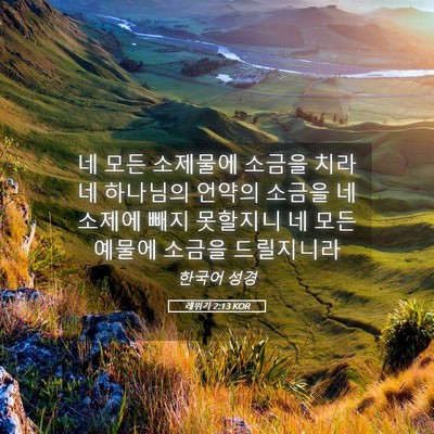 Picture 05 - 레위기 2:13 KOR - 네 모든 소제물에 소금을 치라 네 - Bible Verse Picture