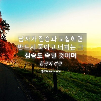Picture 05 - 레위기 20:15 KOR - 남자가 짐승과 교합하면 반드시 - Bible Verse Picture