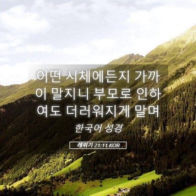 Picture 05 - 레위기 21:11 KOR - 어떤 시체에든지 가까이 말지니 - Bible Verse Picture