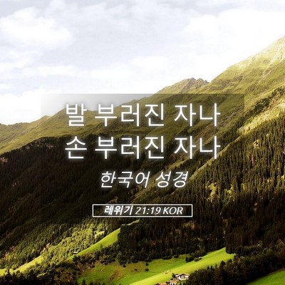 Picture 05 - 레위기 21:19 KOR - 발 부러진 자나 손 부러진 - Bible Verse Picture