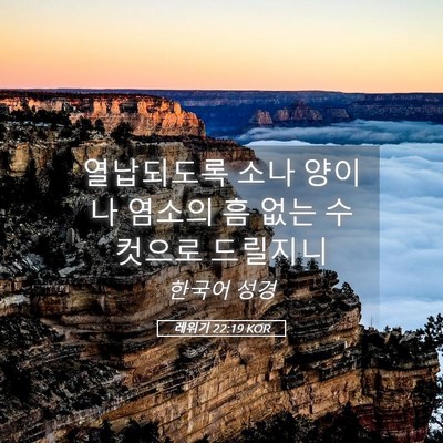Picture 05 - 레위기 22:19 KOR - 열납되도록 소나 양이나 염소의 흠 - Bible Verse Picture