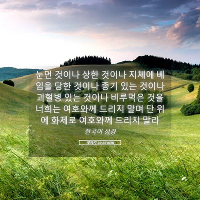 Picture 05 - 레위기 22:22 KOR - 눈먼 것이나 상한 것이나 지체에 - Bible Verse Picture
