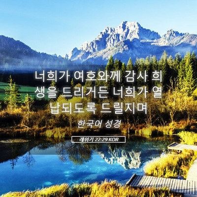 Picture 05 - 레위기 22:29 KOR - 너희가 여호와께 감사 희생을 - Bible Verse Picture