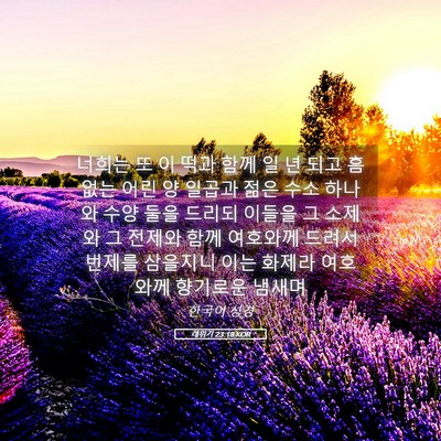 Picture 05 - 레위기 23:18 KOR - 너희는 또 이 떡과 함께 일 년 되고 - Bible Verse Picture