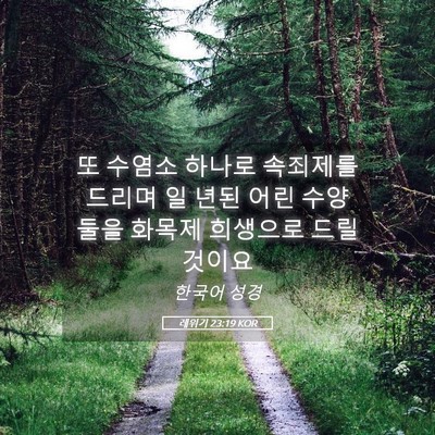 Picture 05 - 레위기 23:19 KOR - 또 수염소 하나로 속죄제를 드리며 - Bible Verse Picture