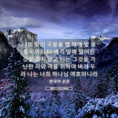 Picture 05 - 레위기 23:22 KOR - 너희 땅의 곡물을 벨 때에 밭 - Bible Verse Picture
