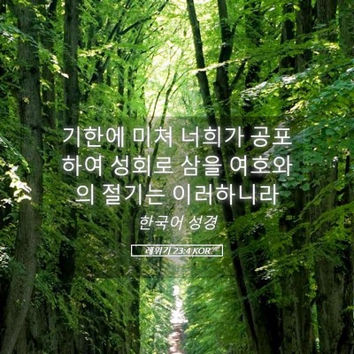 Picture 05 - 레위기 23:4 KOR - 기한에 미쳐 너희가 공포하여 성회로 - Bible Verse Picture