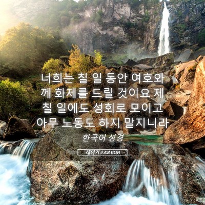 Picture 05 - 레위기 23:8 KOR - 너희는 칠 일 동안 여호와께 화제를 - Bible Verse Picture