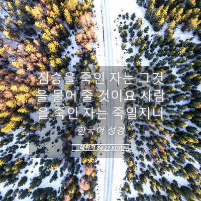 Picture 05 - 레위기 24:21 KOR - 짐승을 죽인 자는 그것을 물어 줄 - Bible Verse Picture