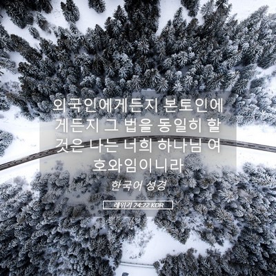 Picture 05 - 레위기 24:22 KOR - 외국인에게든지 본토인에게든지 그 - Bible Verse Picture