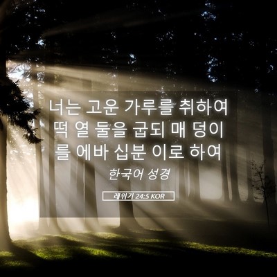 Picture 05 - 레위기 24:5 KOR - 너는 고운 가루를 취하여 떡 열 둘을 - Bible Verse Picture