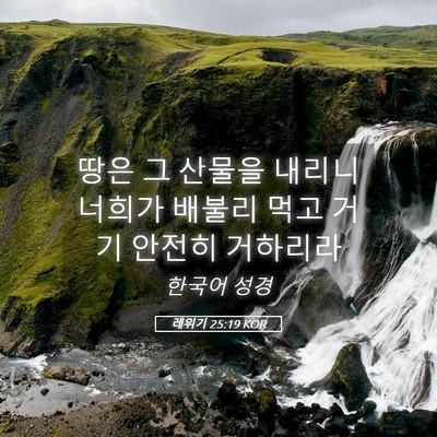 Picture 05 - 레위기 25:19 KOR - 땅은 그 산물을 내리니 너희가 - Bible Verse Picture