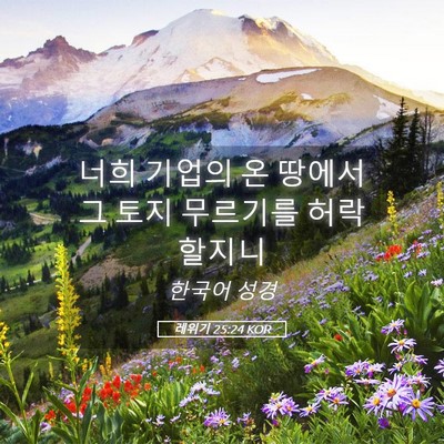 Picture 05 - 레위기 25:24 KOR - 너희 기업의 온 땅에서 그 토지 - Bible Verse Picture