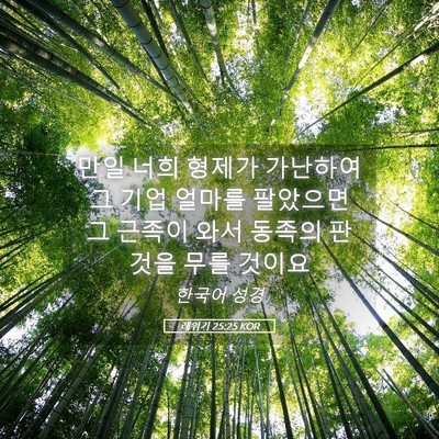 Picture 05 - 레위기 25:25 KOR - 만일 너희 형제가 가난하여 그 기업 - Bible Verse Picture