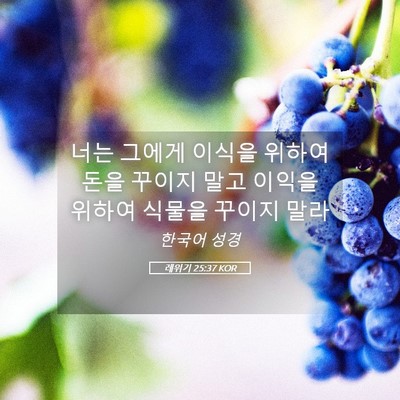 Picture 05 - 레위기 25:37 KOR - 너는 그에게 이식을 위하여 돈을 - Bible Verse Picture