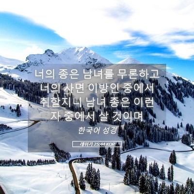 Picture 05 - 레위기 25:44 KOR - 너의 종은 남녀를 무론하고 너의 - Bible Verse Picture