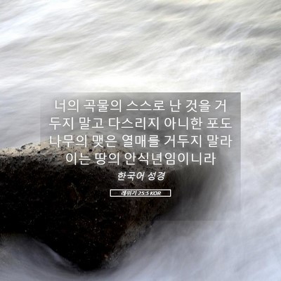 Picture 05 - 레위기 25:5 KOR - 너의 곡물의 스스로 난 것을 거두지 - Bible Verse Picture