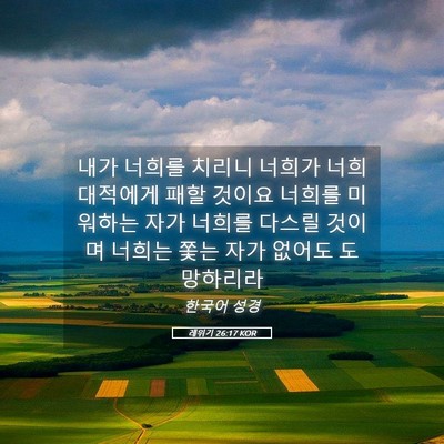 Picture 05 - 레위기 26:17 KOR - 내가 너희를 치리니 너희가 너희 - Bible Verse Picture