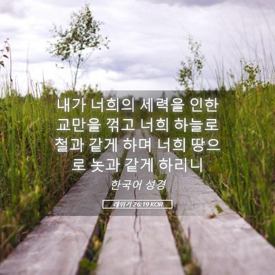 Picture 05 - 레위기 26:19 KOR - 내가 너희의 세력을 인한 교만을 - Bible Verse Picture