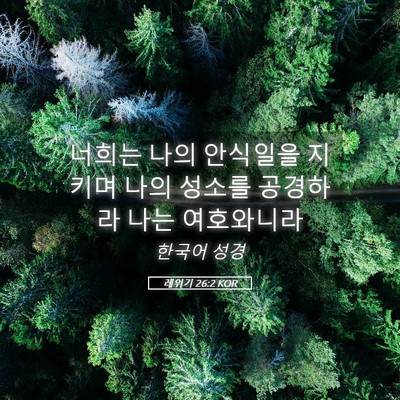 Picture 05 - 레위기 26:2 KOR - 너희는 나의 안식일을 지키며 나의 - Bible Verse Picture