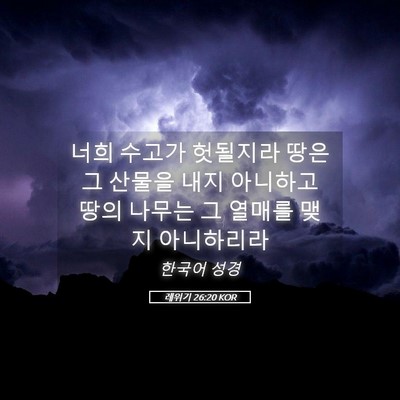Picture 05 - 레위기 26:20 KOR - 너희 수고가 헛될지라 땅은 그 - Bible Verse Picture