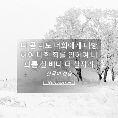 Picture 05 - 레위기 26:24 KOR - 나 곧 나도 너희에게 대항하여 너희 - Bible Verse Picture