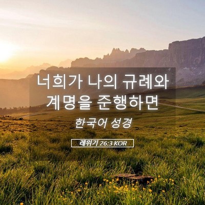 Picture 05 - 레위기 26:3 KOR - 너희가 나의 규례와 계명을 - Bible Verse Picture
