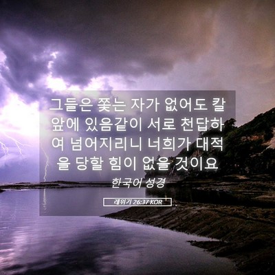 Picture 05 - 레위기 26:37 KOR - 그들은 쫓는 자가 없어도 칼 앞에 - Bible Verse Picture