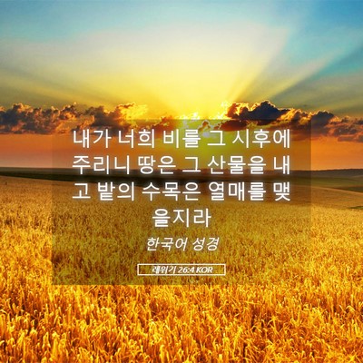 Picture 05 - 레위기 26:4 KOR - 내가 너희 비를 그 시후에 주리니 - Bible Verse Picture